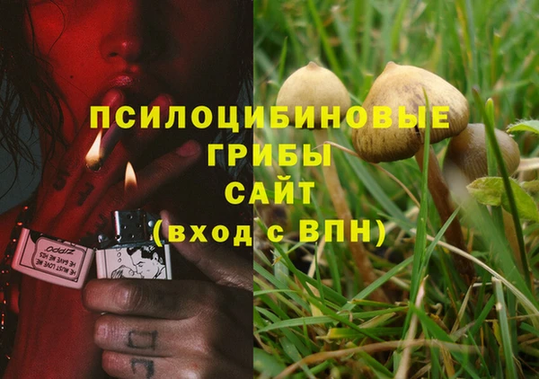ГАЛЛЮЦИНОГЕННЫЕ ГРИБЫ Лагань
