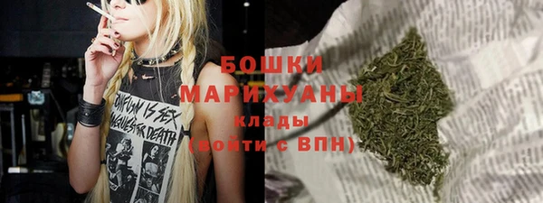 ГАЛЛЮЦИНОГЕННЫЕ ГРИБЫ Лагань