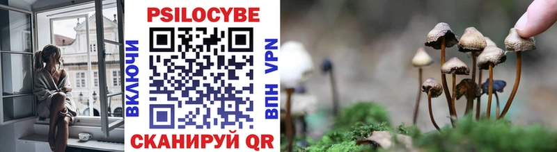 Псилоцибиновые грибы Psilocybine cubensis Нелидово